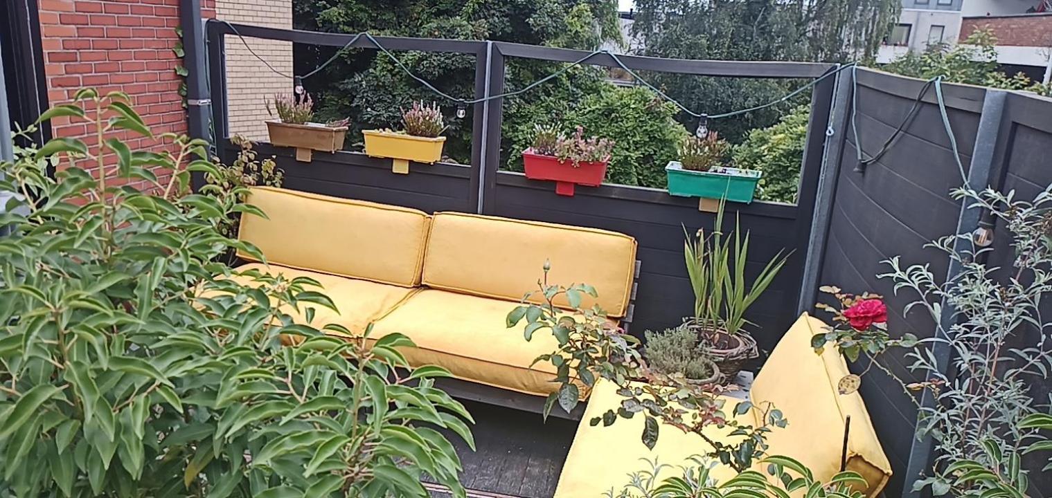 Lodgerivierenhof 安特卫普 外观 照片