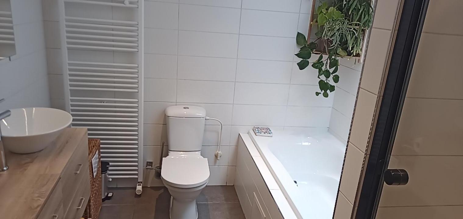 Lodgerivierenhof 安特卫普 外观 照片