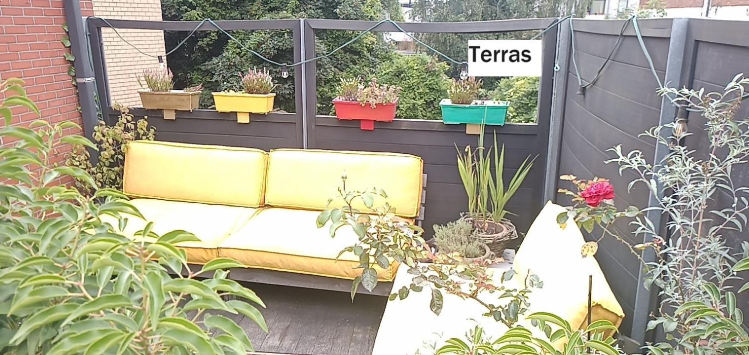 Lodgerivierenhof 安特卫普 外观 照片